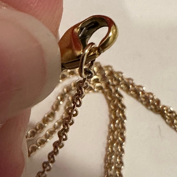 Jane Win Adjustable Delicate Chain - Picture 4 of 5